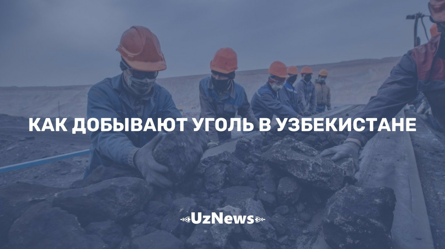 Спецрепортаж: как добывают уголь в Узбекистане — фото, видео