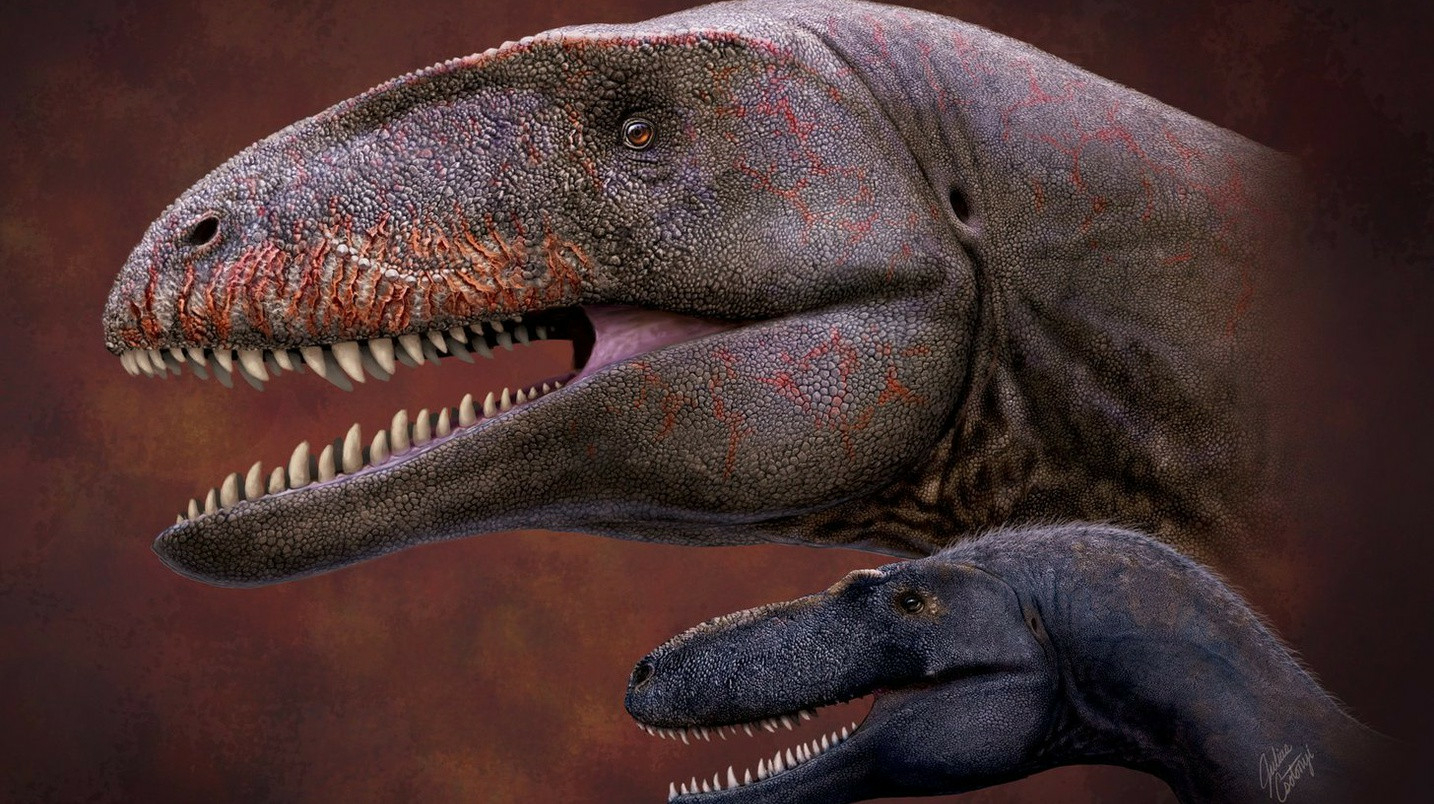 Обнаруженную окаменелость в Узбекистане отнесли к новому виду хищников, живших до тираннозавров — фото
