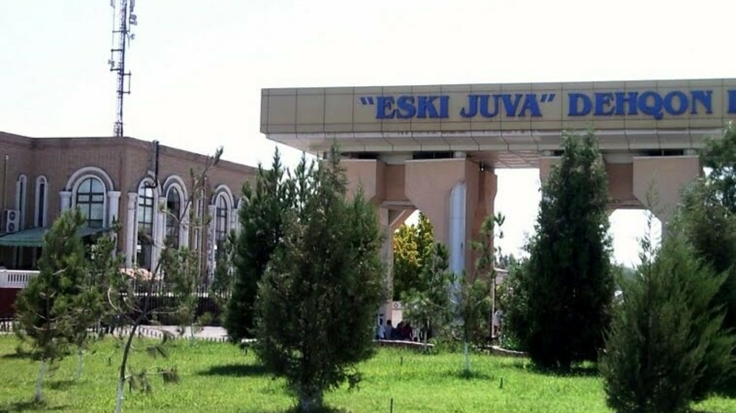 UzNews - В Ташкенте задержаны проститутки, принимающие клиентов под елкой
