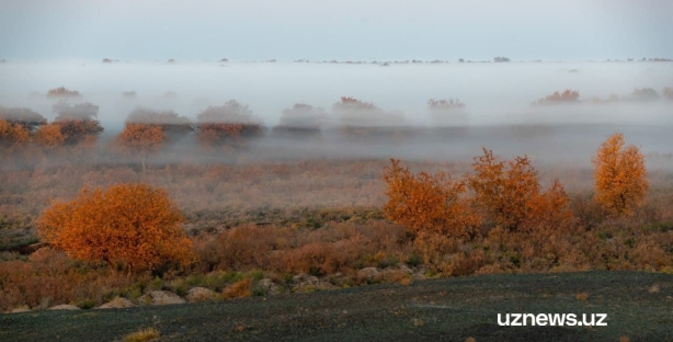 В Узбекистане появится новый природный парк и заповедник