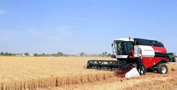 Узбекистан закупит более 500 тыс. тонн зерна для госрезерва