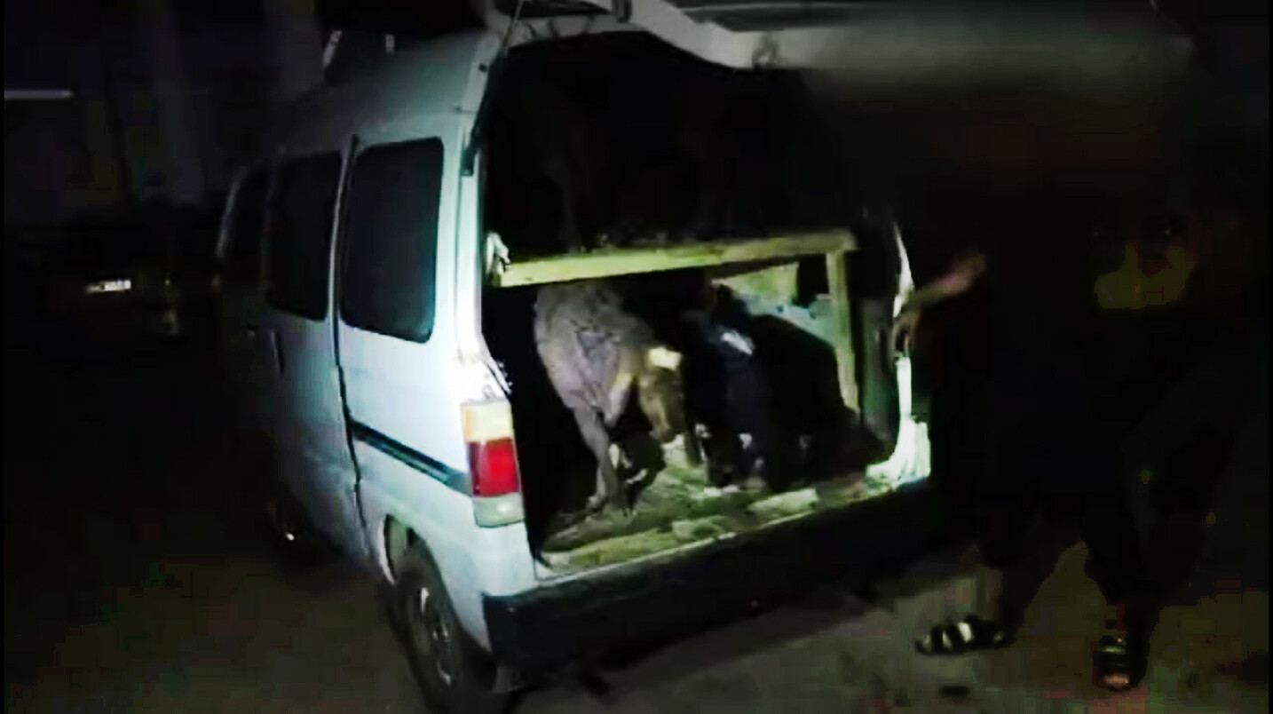 Водитель Damas, перевозивший 29 баранов, попытался скрыться от инспекторов ДПС — видео