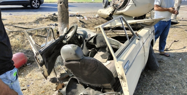 В Ташкенте автомобиль «ВАЗ» разорвало надвое после столкновения с деревом