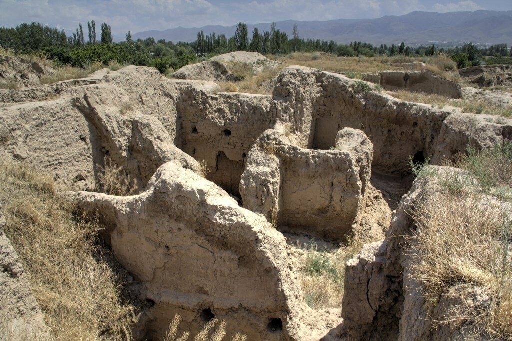 В двух регионах Узбекистана граждане повредили археологические памятники