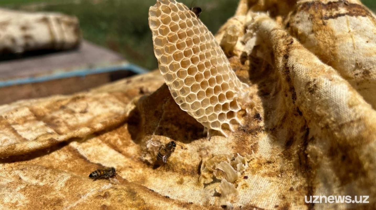 Рамки для пчел: конструкция, размеры, изготовление