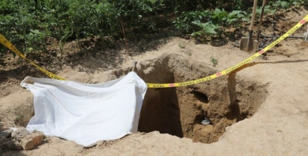 Житель Навоийской области обнаружил во дворе своего дома кости, похожие на человеческие