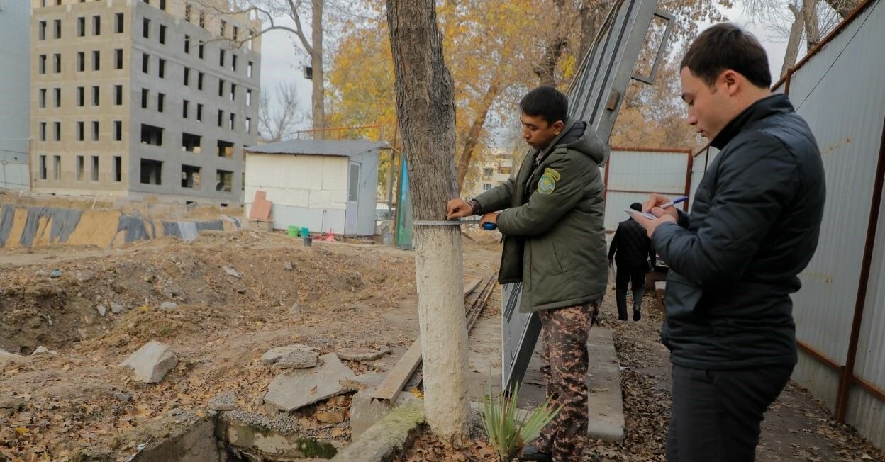 В Ташкенте стройкомпания, ранее незаконно вырубившая деревья на 430 млн сумов, вновь погубила деревья
