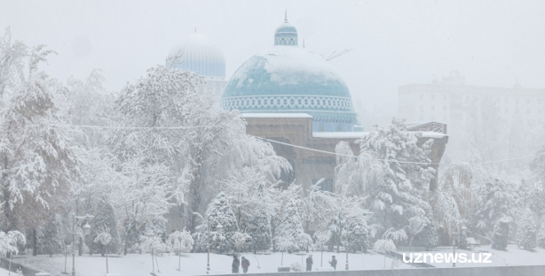 На Узбекистан надвигаются аномальные морозы до -27 градусов
