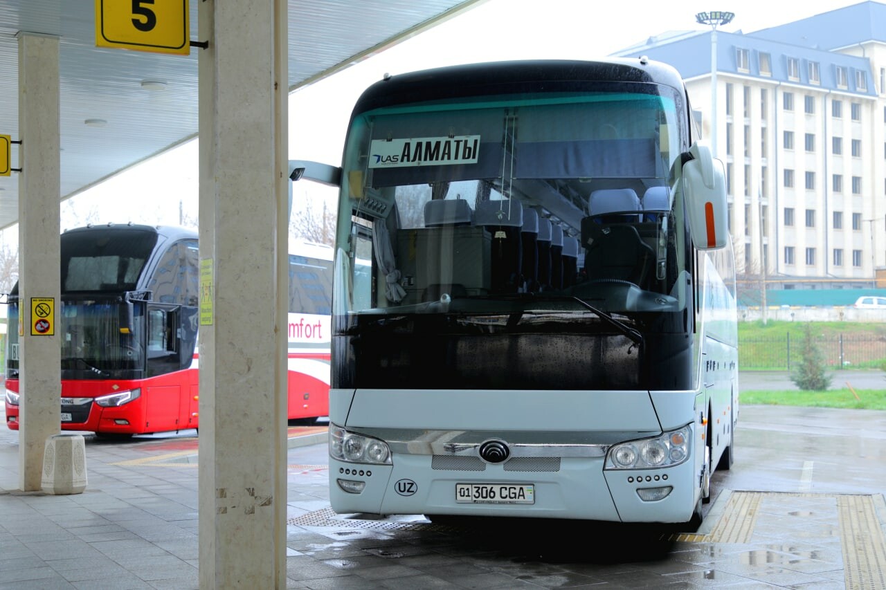 Международное автобусное сообщение возобновляется с 19 января — стоимость билетов