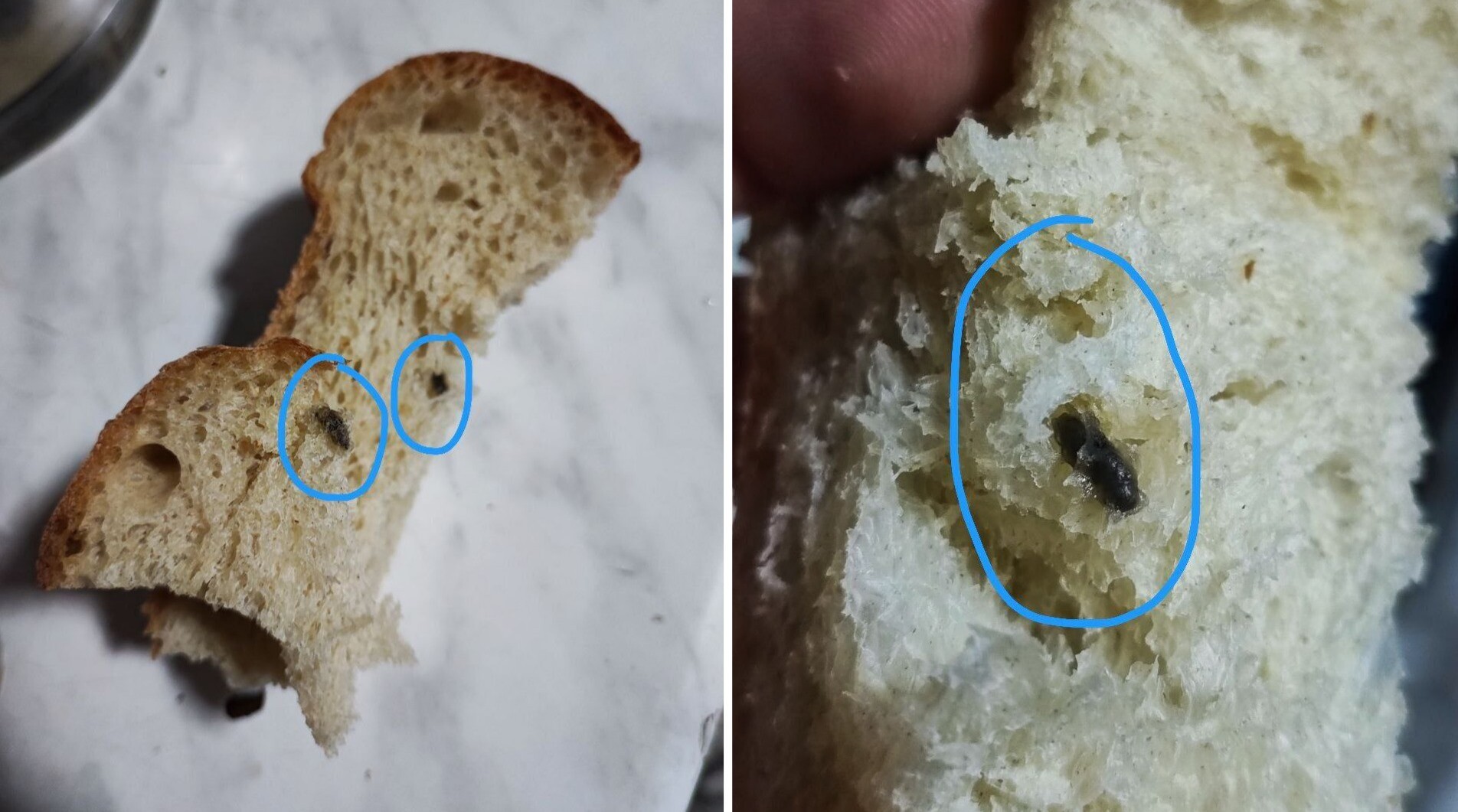 В хлебе, купленном в одном из магазинов в Бухаре, обнаружены мышиные экскременты