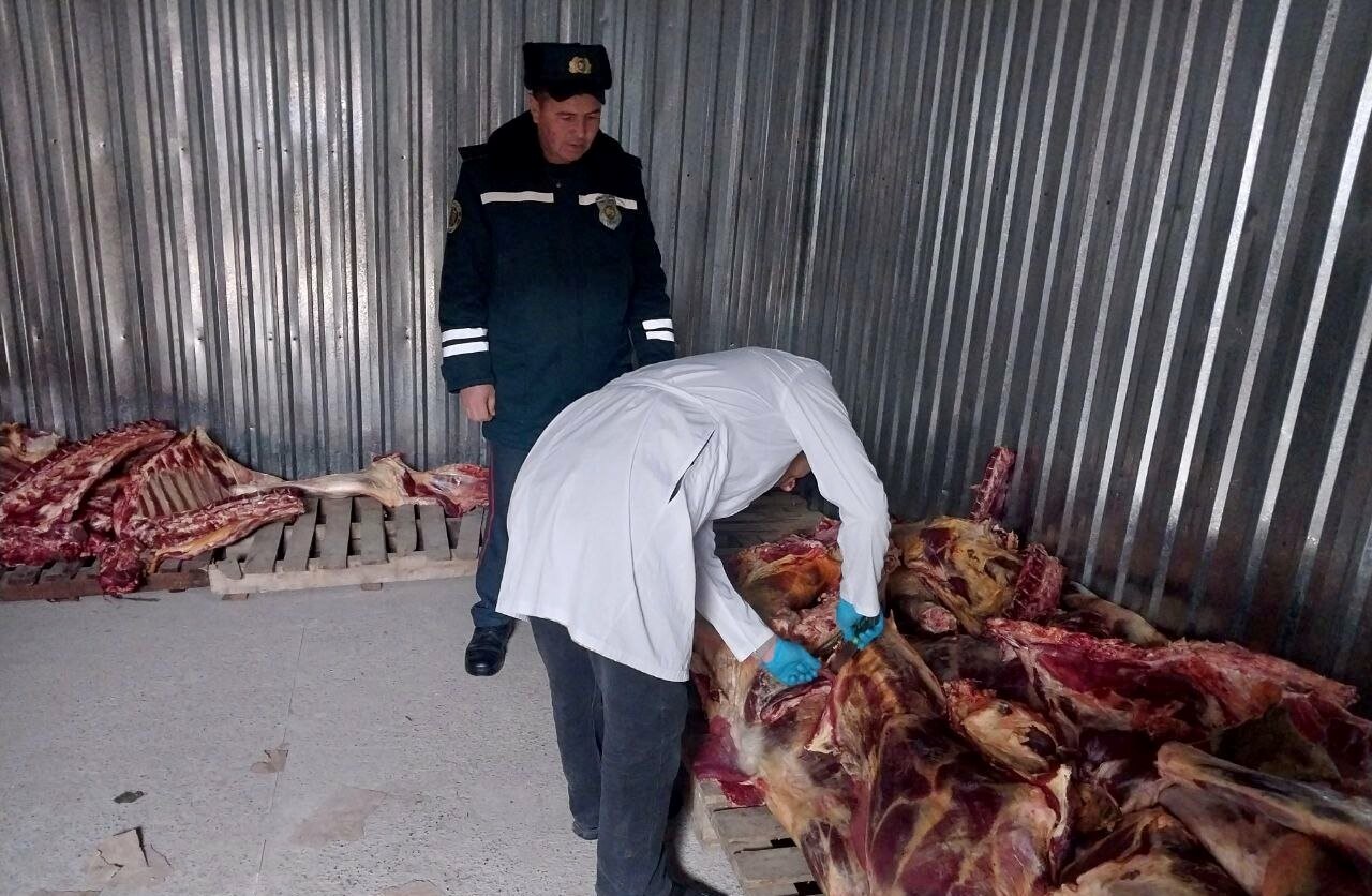 В Ташкент пытались ввезти более 2,5 тонны мяса неизвестного происхождения
