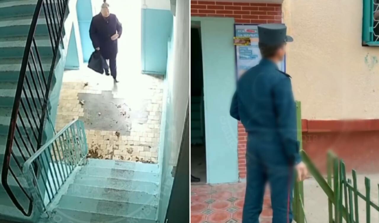 В Ташкенте оштрафована бабушка, которая пнула придомового кота — видео