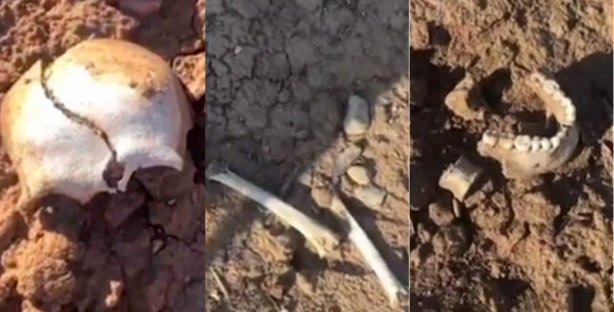На берегу водохранилища Чарвак обнаружили человеческие останки — видео
