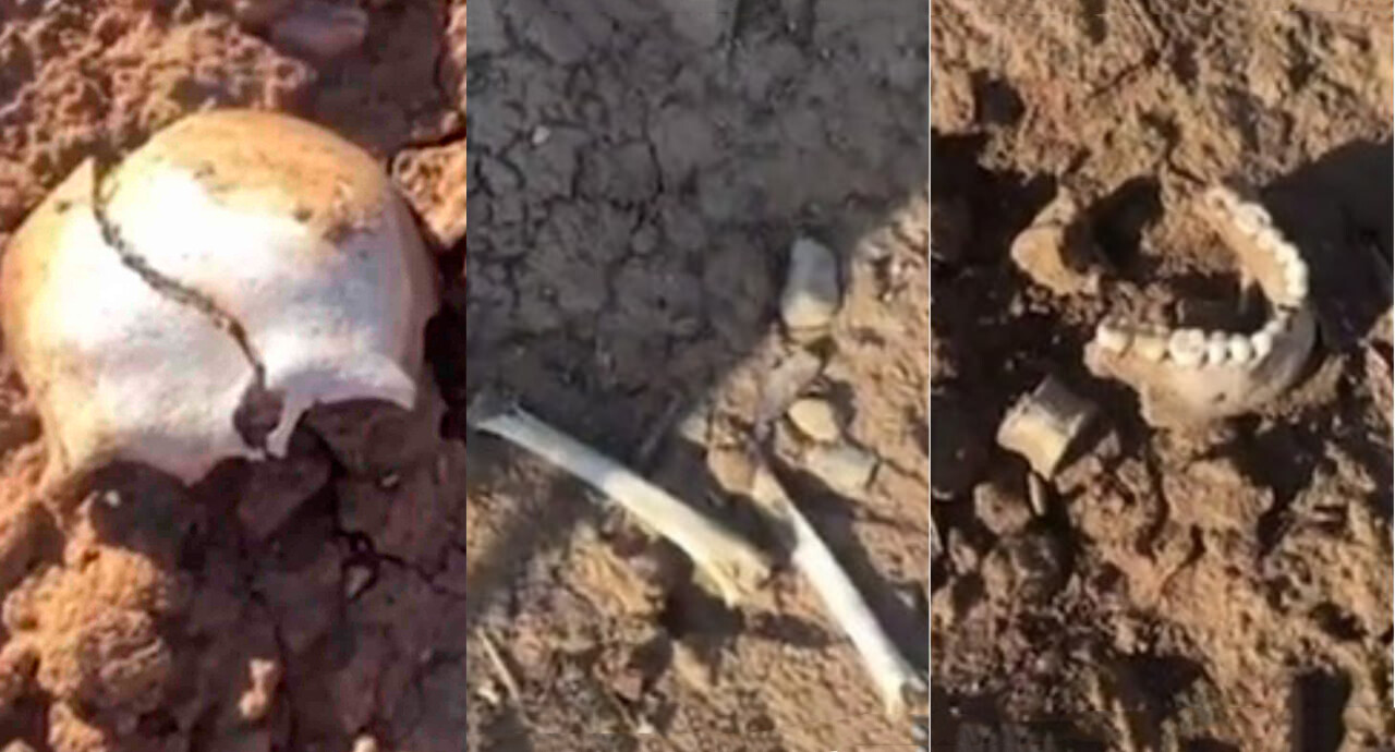 На берегу водохранилища Чарвак обнаружили человеческие останки — видео