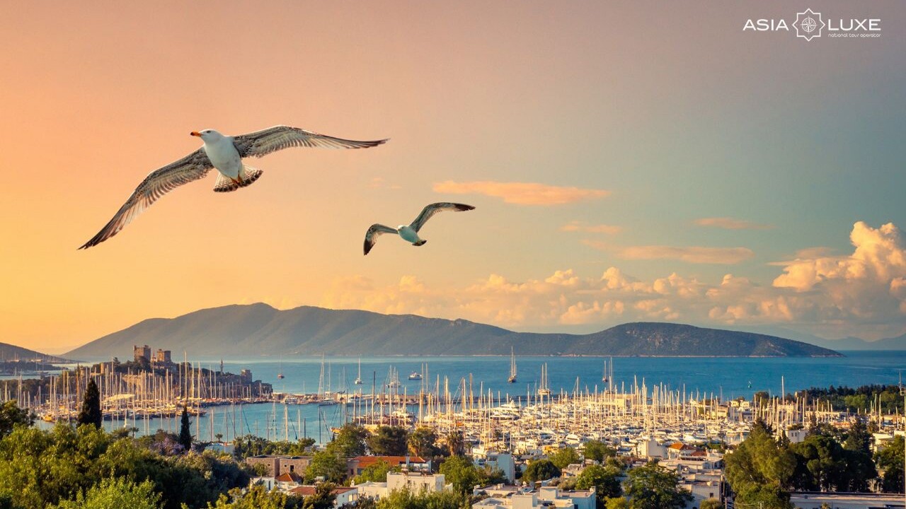 Под солнцем Бодрума: прямые рейсы от Asialuxe Travel на один из респектабельных турецких курортов