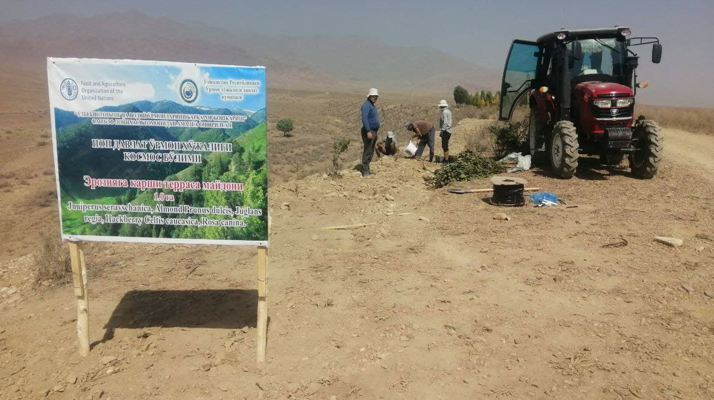 ФАО ведет активную работу по лесоразведению в горных районах Наманганской области