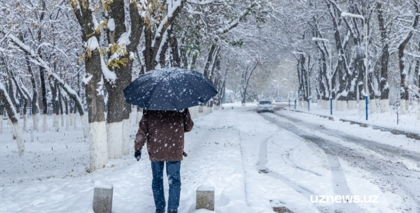 Какая погода ждет узбекистанцев в последний месяц зимы