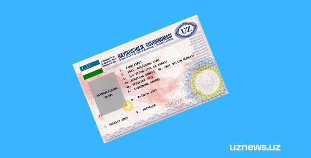 Как получить водительские права в Узбекистане – инструкция