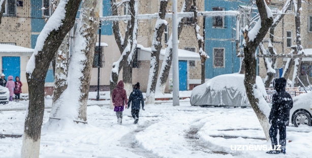 Последние зимние выходные в Узбекистане будут холодными
