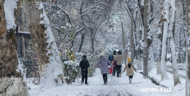 Зима в Узбекистане закончится дождями и снегом