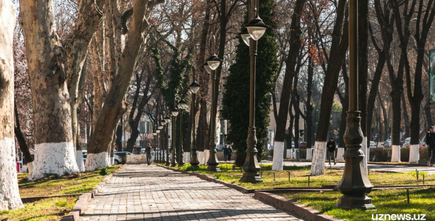 По большей части Узбекистана 8 марта ожидается теплым и без осадков