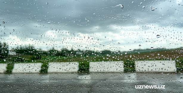 На Навруз узбекистанцев ожидают дожди и понижение температуры воздуха