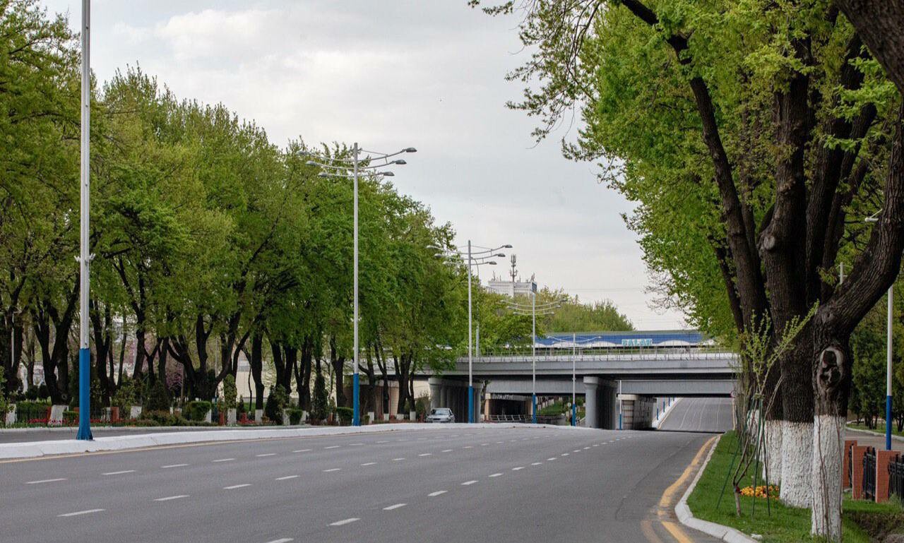 В Ташкенте пройдет День без автомобиля