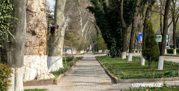 В выходные в Узбекистане ожидается прохладная погода, без осадков