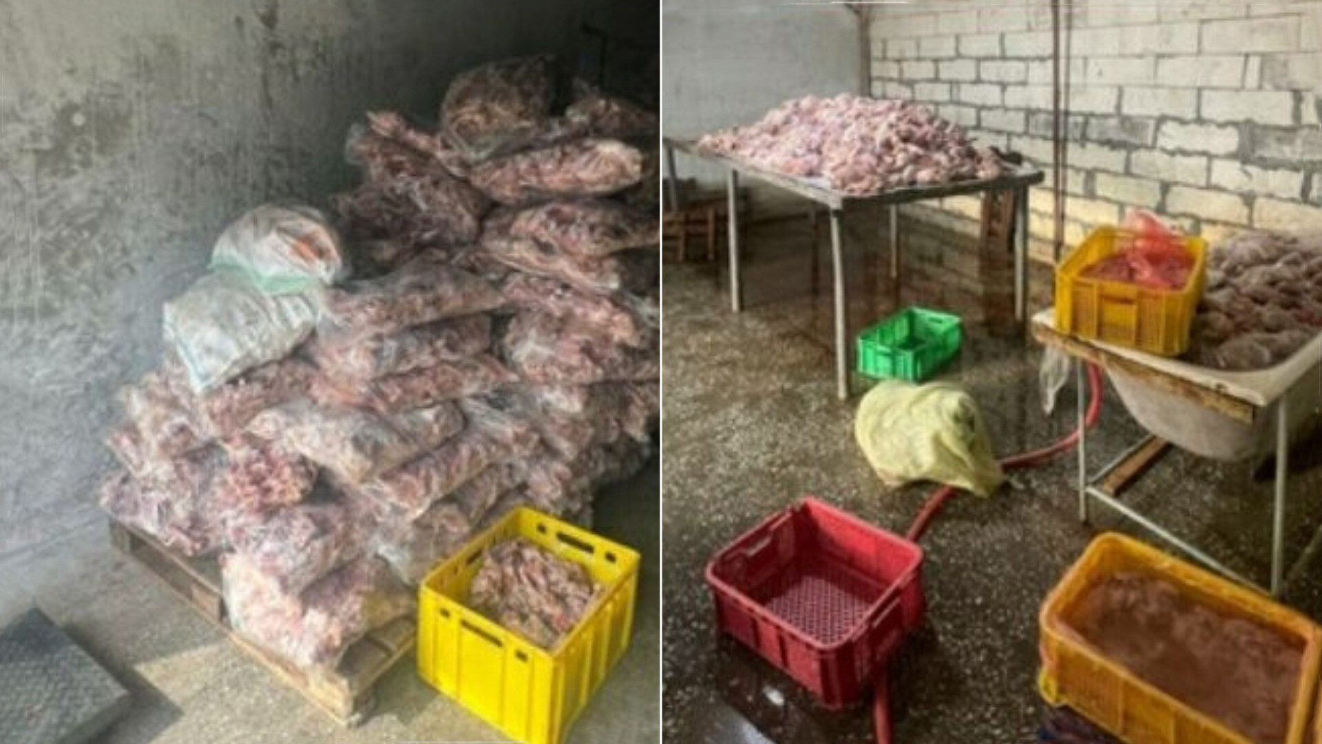 В Ташкенте выявили подпольный цех, где перерабатывали куриное мясо в антисанитарных условиях