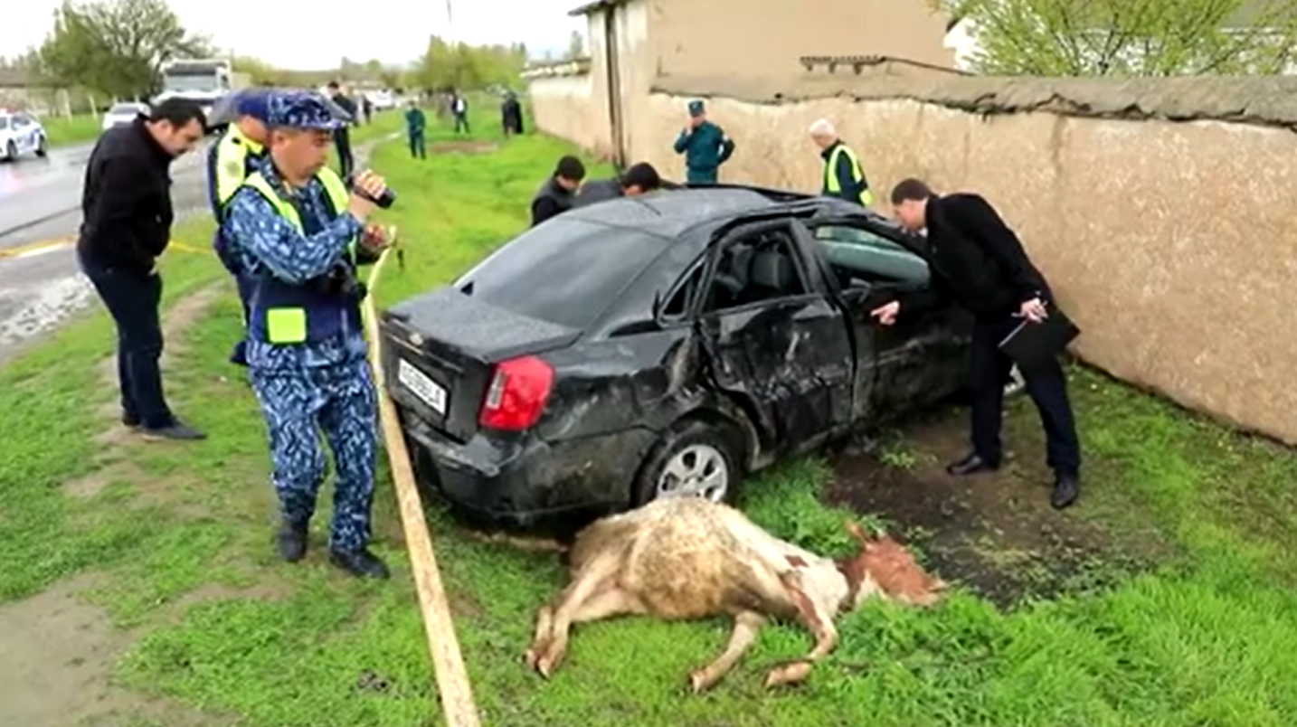 UzNews - В Джизаке водитель Gentra насмерть сбил двух школьников