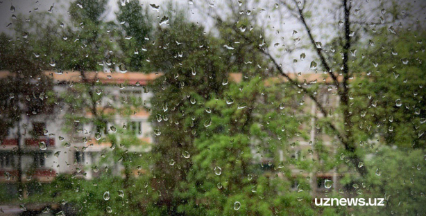 Дожди и жара: на этой неделе в Узбекистане ожидается неустойчивая погода