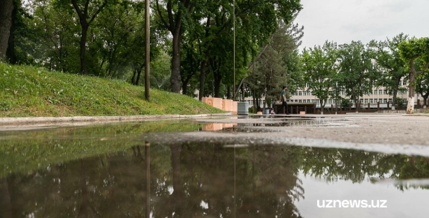 На этой неделе по Узбекистану попеременно пройдут кратковременные дожди