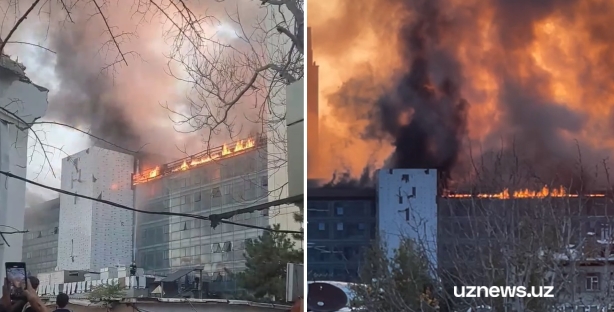 В Ташкенте загорелась одна из гостиниц — видео