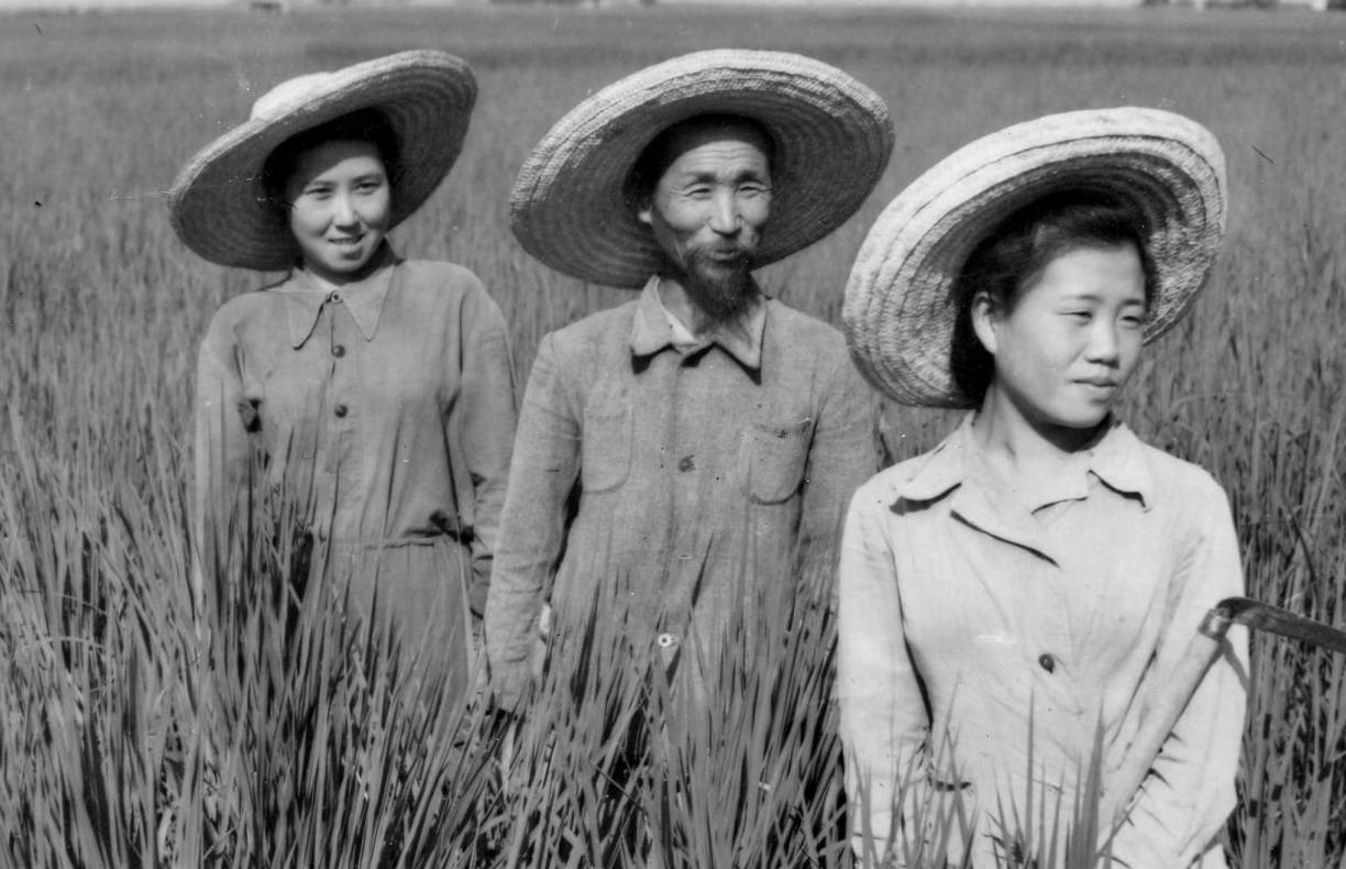 Корейская семья на рисовом поле. 1956 год.